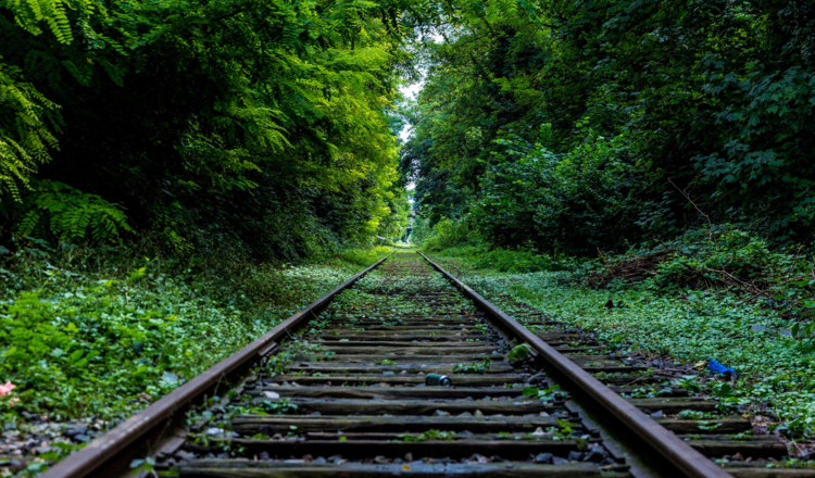 Rail3